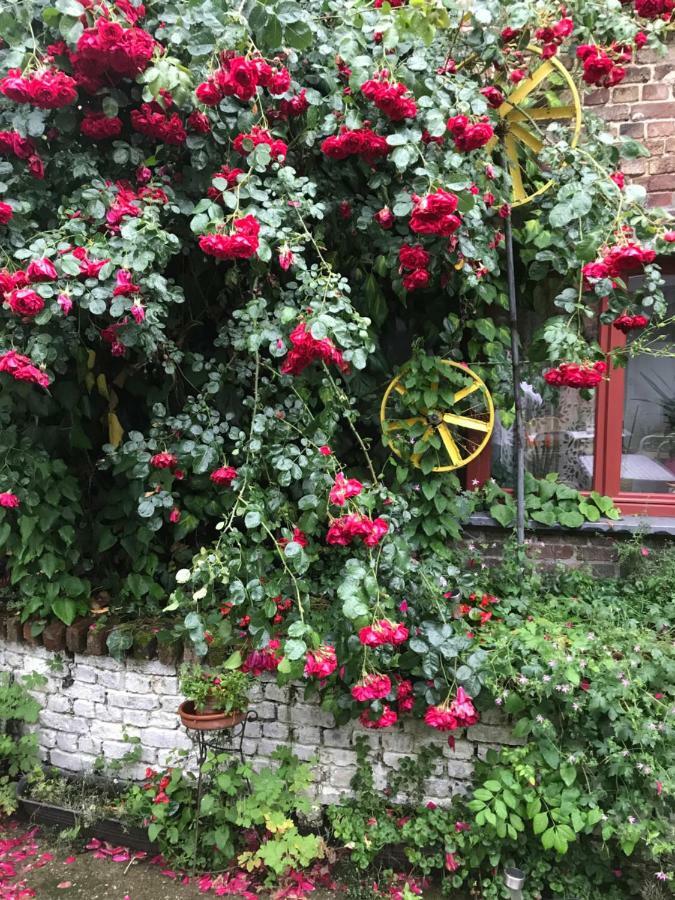 B&B De Henehoeve Heks Exterior foto